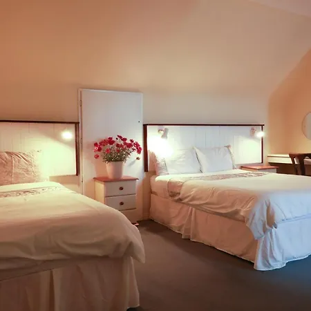 Arus Grattan Apartment